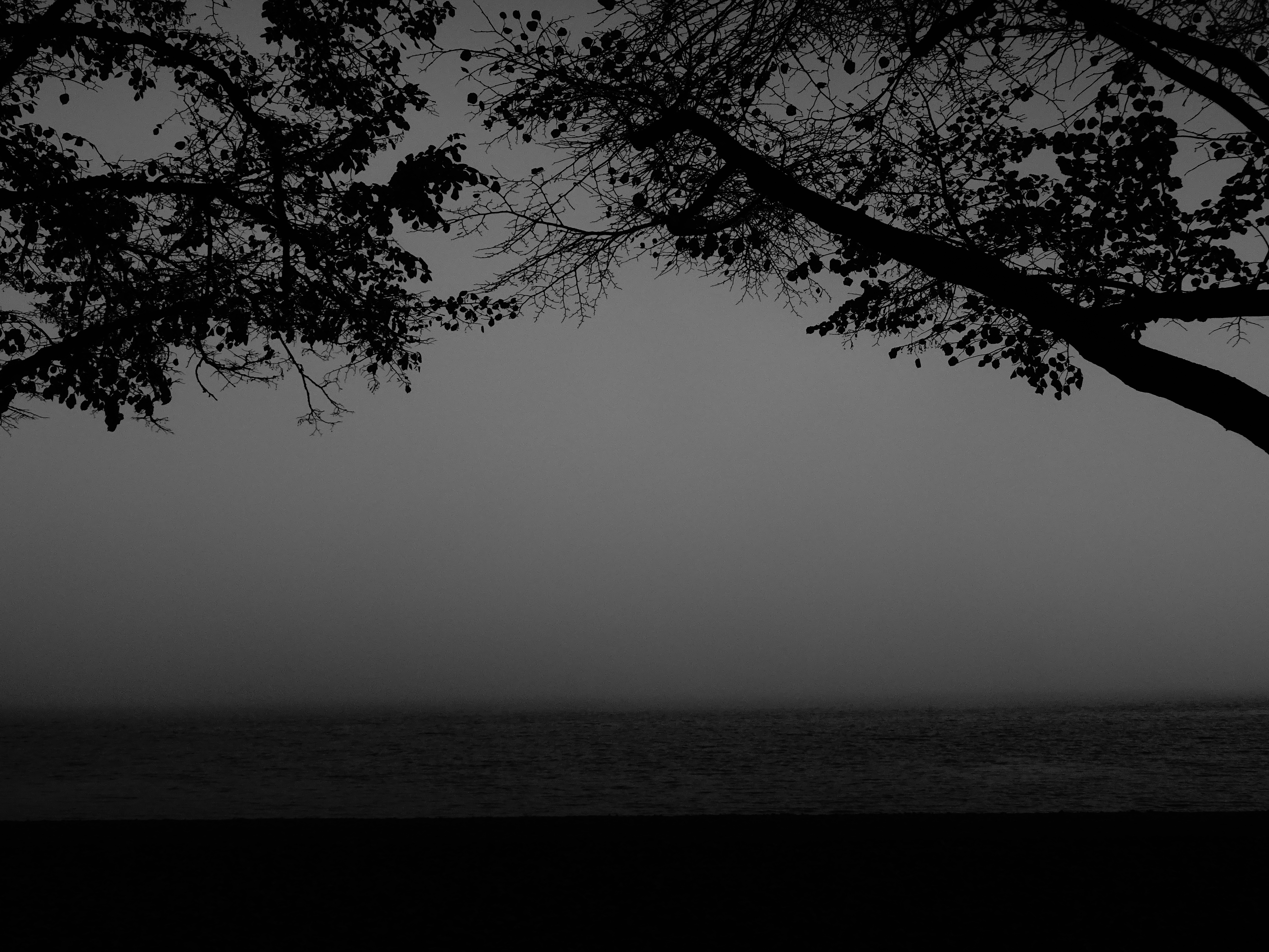 Blick aufs Wasser
