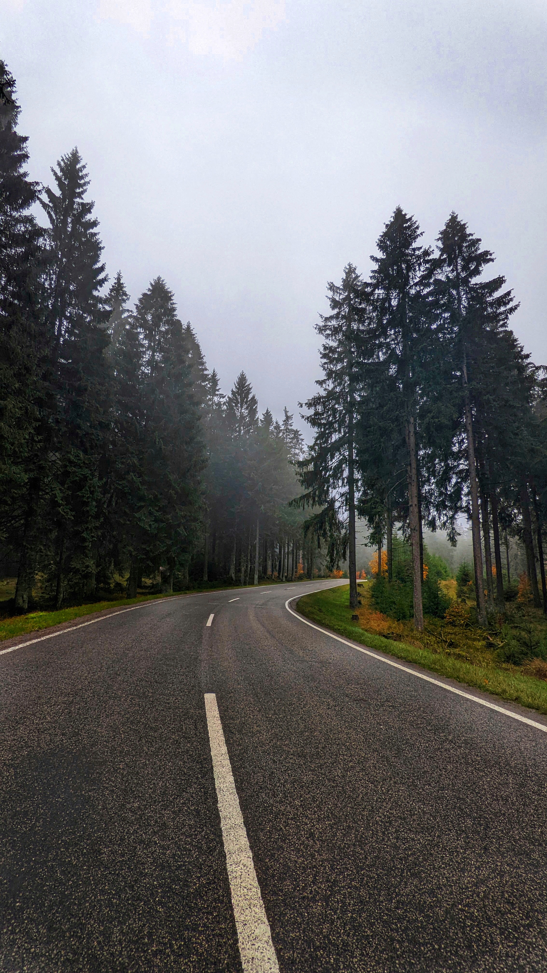 Nebel auf Straße